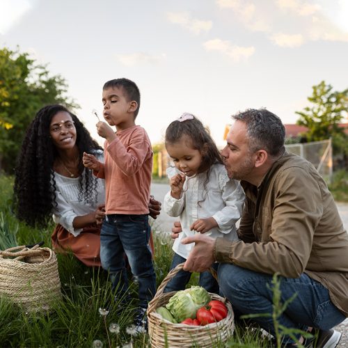 Imagen-decorativa-familia-de-4